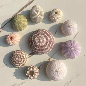 K[fjOG VR Ej̊k Lk L X GAvc X^h CeA IuWF DIYf fBXvC u Ϗܗp