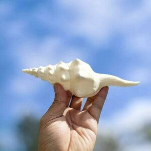 Lk VR L 点^ Be tHgACe nCX^C }CeA Cݕ u IuWF fBXvC i i 