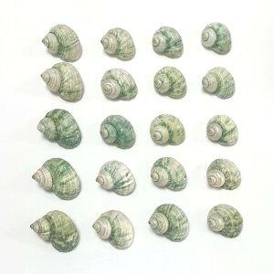 Lk Rf  WP L VR u IuWF CeA fR[V  ANAE K[fjO DIY nhCh Ntgf RNV W{