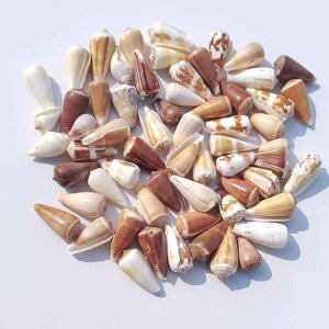 eEpi CKC Lk L ~bNX } VRf nC ~j`AK[f fBXvC IuWF bZ[W{g