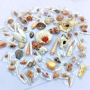 Lk VR E~MNKC W{ 󏭉l Md CeA fBXvC  IuWF u Be nC }eCXg RNV ӏܗp Rf H|i