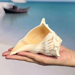 Lk u VR  L  ANAE nC CeA RNV IuWF fBXvC nhCh _`Cj[YX^C