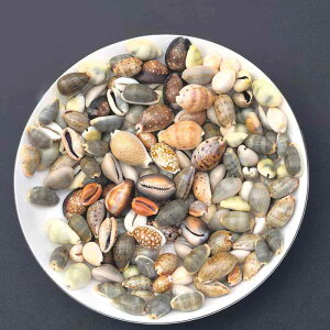 VRLk X ~bNX  ANAE CAEg  CeA IuWF W{ RNV  i` 2-4cm