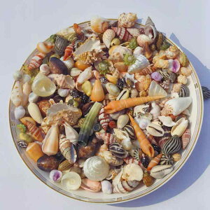 Lk L VR  l VFTh ~bNX lXȃTCY nhCh DIY Ntg f  CeA ANAE W _ Vv A\[g