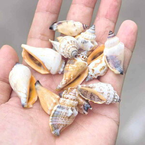 Lk VRL  DF ANAE   IuWF CeA u DIY nhCh  p Ntgޗ