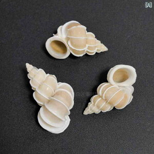 Lk VR L}C{  L E̒ RNV  ANAE }CeA fBXvC CeAG u H|i ӏܗp Rf