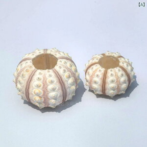 u VR L Lk bh^[oEj TS GAvc eE CAEgp CeA IuWF Bep fBXvC RNV i`