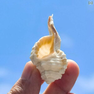 Lk VRL ۗ l zCg W{ hJ̏h  ANAE CAEg  CeA IuWF rO  fBXvC G Ϗܗp