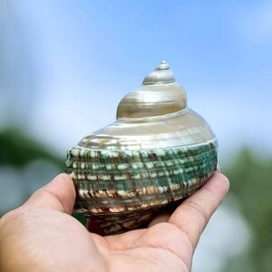 L IJhJp VR u O[ Lk ^ ANAE  CAEg  VF