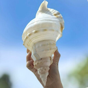 p IuWF  zCg zL qgf  VRf ANAE CAEg  CeA u ₵  썑][g