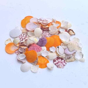 Lk q Jt VR L 召A\[g DIYf nhCh Ntg CAEg ANAE CeA IuWF RNV