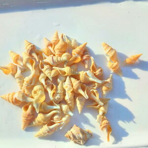 Lk VRf ^L ~jVF  ANAE CAEg  hJp VFZݑւ Yr {gA[g n[oE f CeA IuWF  u i`