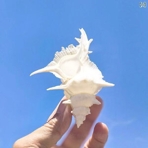 VRLk L oVEKC oiiKC  RNV W{  ANAE CAEg I[ig CeA u Be zCg