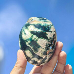 ANAE VR ArL L VF p i CeAIuWF u  Be fBXvC