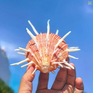 u VRLk E~MNKC qgf TS L W{ RNV  CAEg CeA fBXvC V[P[X  rO IuWF ㎿ bL[ACe