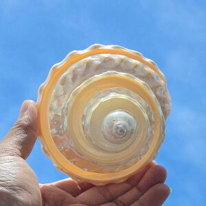  CeA IuWF VR Lk L  ^[ ~  ANAE CAEg u