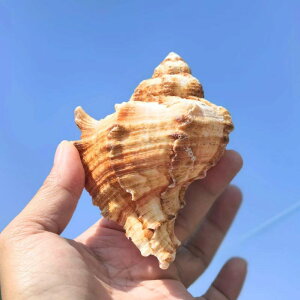 VRLk AtJY ^L ϏܗpIuWF Ap|bg ANAE CAEg hJ hւVF Rf CeA u(x2)