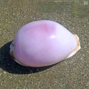 Lk VR  nCY n}͗l p[   RNV CeA u IuWF fBXvC Ϗܗp i` ^ _  rO 