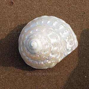  I[ig p[ ^cmRKC VRL VF u  ANAE CAEg   fR[V CeA IuWF u 