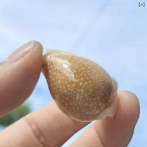 Lk ^JKC VR  j[N L VF CeA u IuWF W{ RNV  ANAE  fBXvC(x3)