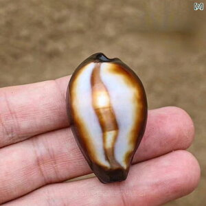 IuWF VR  L Lk ^JKC W{  ANAE CAEg fBXvC CeA  u v[g RNV(x2)