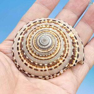 u VRLk L qgf X  ANAE CAEg CeA IuWF CmW{ i` fXN ObY RNV