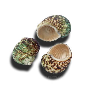 pi VRLk hJ ݑւVF L O[ _͗l ANAE CAEg fR[V ӏ IuWF