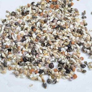 Lk  ~jTCY VRf L L CKC ^JKC ^PmRKC L ׍ CeA fR[V Ntg nhCh DIY ԐF