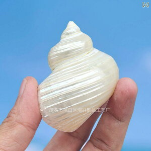 Lk  hJ ݑւp L VRf  CAEg ANAE  Ϗܗp eE CeA IuWF i`  fBXvC(x2)