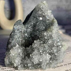 NX^ VRu NX^[ ƒp  K[f  ANAE eE Ϗܐ  q[O u IuWF z