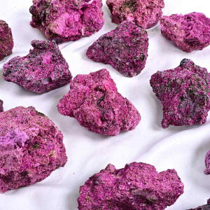 Ϗܐ  CAEg VR  r[ z W{  u ANAE IuWF CeA _ Vv  ^ eE ӏܗp