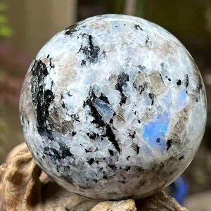 u VR[Xg[  u[[Xg[ C{[ Ό NX^{[ CeA  rO IuWF J^  p[Xg[