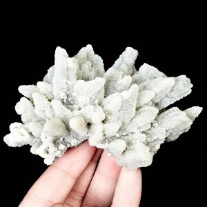 VR Mz  NX^[  zW{ CeA rO ItBX fXN  ANAE CAEg  u IuWF