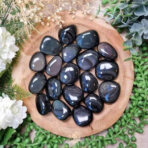 VR ʗj C{[IuVfBA R`  }bT[WXg[ q[OXg[ u   CeA ӏܗp J^