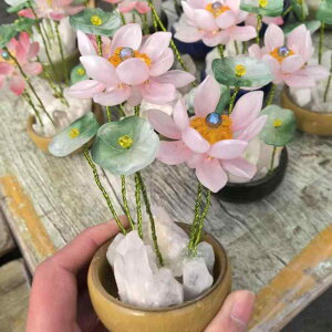 u VR  NX^[ ڗ @̉ ~j~ DIY eE  CeA rO  ItBX  