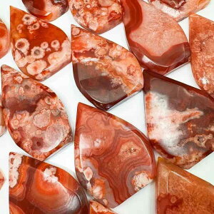 u VR gmE ^ eBAhbv IuWF CeA rO fXN  q[O Mtg A[gRNV