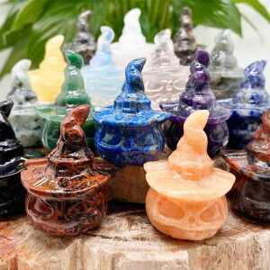 u VR NX^ pvL XJ hN 蒤  nhCh CeA IuWF  蕨 fXN _ Vv