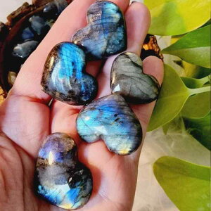 VR u VRNX^ uhCg n[g  Ό u[V[ CeA  j a v[g 蕨 Mtg _ X^CbV