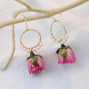 sAX fB[X Wp[ [Y vU[uht[ [Ybh t[`[t tbNsAX hbv XK[ i l킢 dCbLH