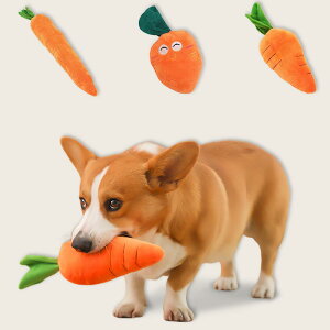 p q ^ ʂ ɂ񂶂^ tFCNt[c  f^PA v ̖  g[jO m