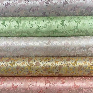 n m xXg fB[X Vؕ  vѐD  啿WJ[h  x |GXe t gbvX AE^[  ig JWA ꒅ Xe[Wߑ(x2)