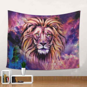 ^yXg[ CI IIJ~ 3D  Ǌ| EH[fR[V CeAG |GXe rO Q  ` A z[fR[V ͗lւ }VEHb