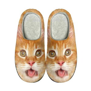 [V[Y jp 킢 L lR  tl  g  RR ӂӂ ~ yA Xbp NbV ܐ܂ł H~ ~p