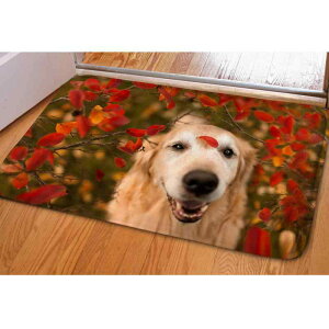 tA}bg ƒp ӂӂ tl 3DfW^vg 킢   p rO Q Lb` op ~ 􂢉\ `