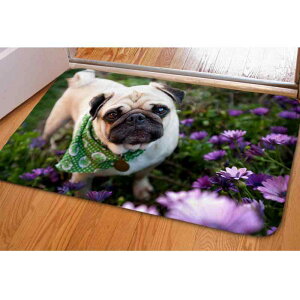 tA}bg 킢  LN^[ tl ӂӂ փ}bg  z @}bg ʏ gC oX}bg EHbVu `