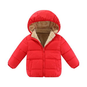 ȃWPbg LbY j̎q ̎q jZbNX H~ {A   h t[ht WbvAbv AE^[ ؍ JWA ʉ ʊw