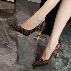 C pvX fB[X |CebhgD 󗚂 qE Te q[ nq[ nCq[ ZNV[ H  S GKg hXV[Y p[eB