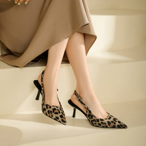 C pvX fB[X |CebhgD ׃q[ nCq[ 󗚂 v t fC[ JWA ItBX ʋ ig ubN qE(x2)