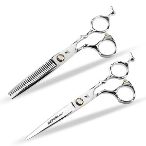 wAJbgnT~ vp 6.0C` xAOlW dグ Xg[g ZjO  ؂ꖡQ XeX ϋv et et T