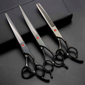 ybgVU[  Lp J[u p g~OnT~ ubN J[dCbLH H| PVCnh  vtFbVi O[~O dグp SgJbg   肵